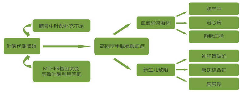 必赢网络游戏平台-(中国游)有限公司
