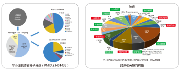 必赢网络游戏平台-(中国游)有限公司