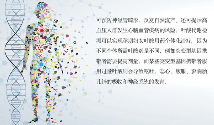 必赢网络游戏平台-(中国游)有限公司