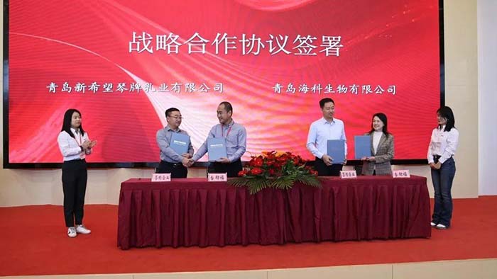 sungame(中国区)官方网站入口